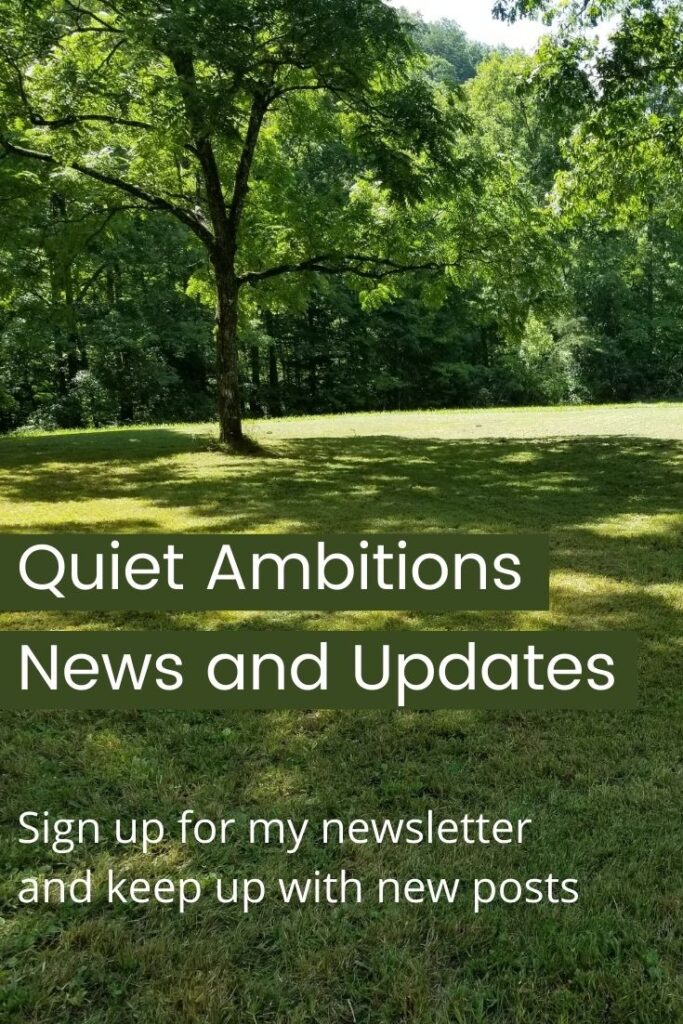 quiet ambitions newsletter