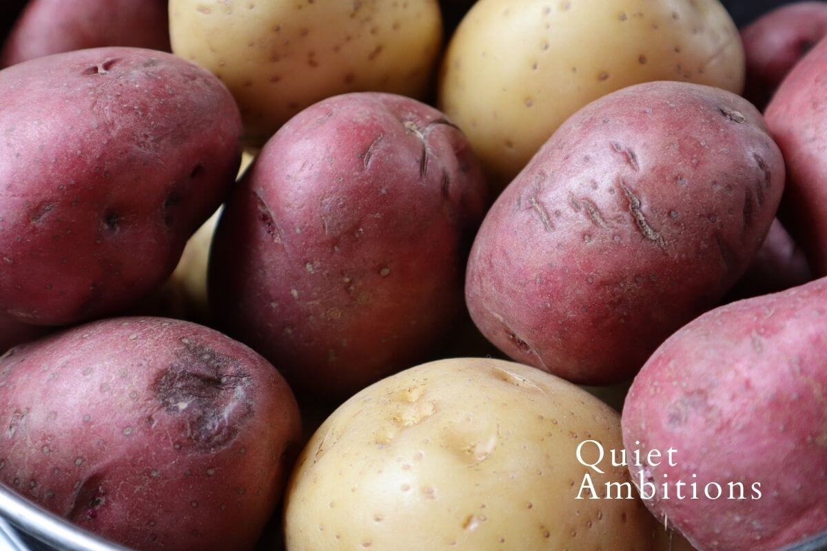 Close up image of red and white potatoes.