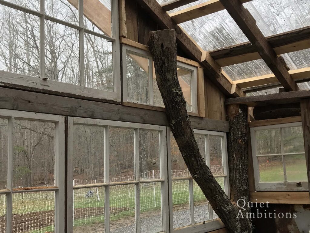 View from the inside showing the old windows and tree as the corner support.  