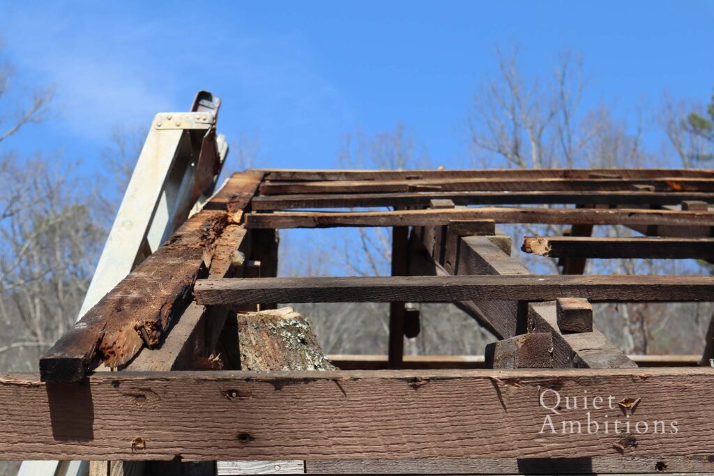 View of the rotten boards that were exposed when the old tin was taken off the roof. 