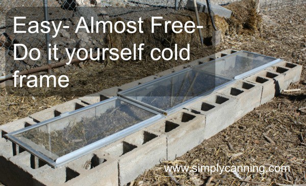 A cold frame made with glass and cinder blocks outside in the wintertime.