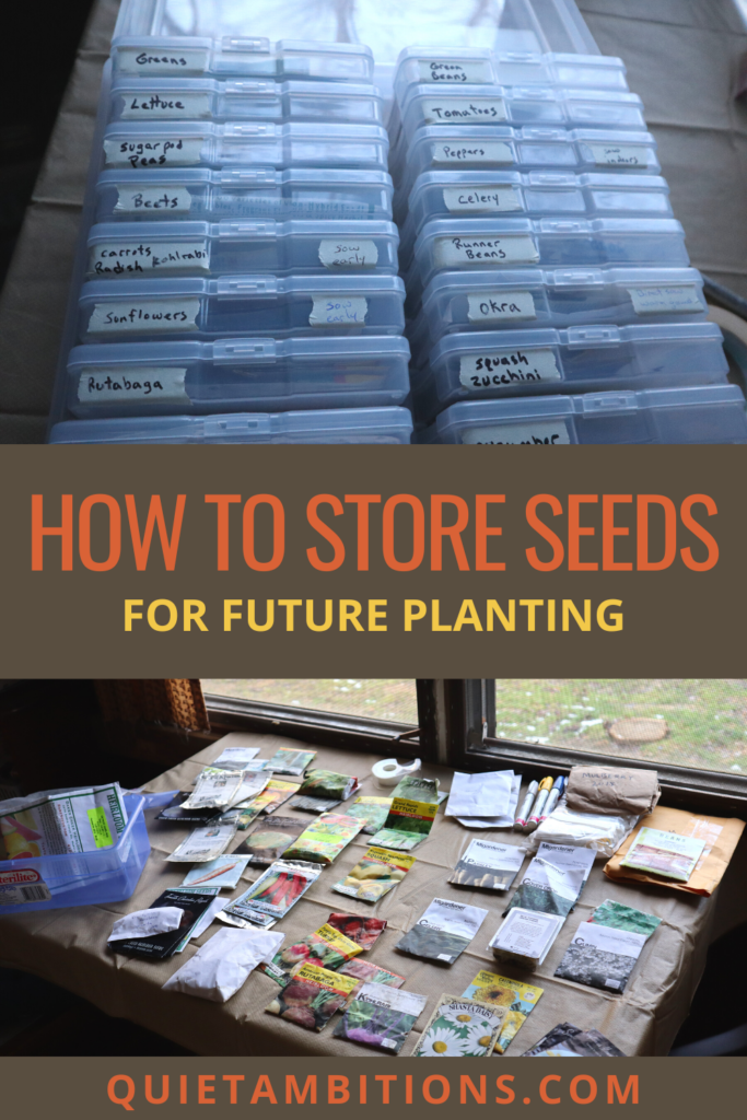 Seed Storage: The Best Way to Store & Organize Garden Seeds ~ Homestead and  Chill