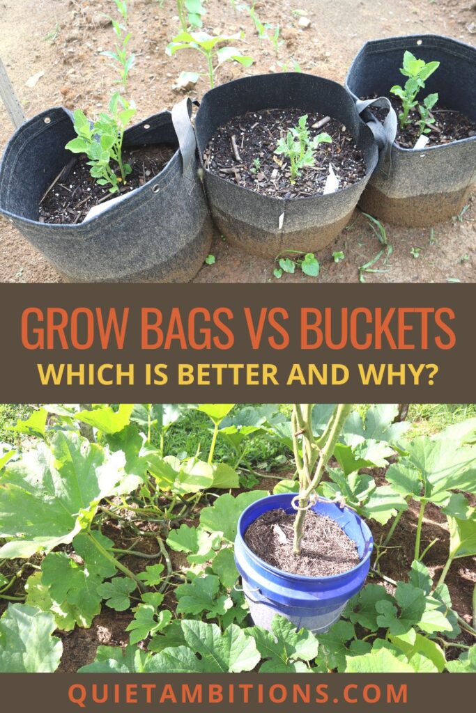 Grow bags vs buckets pinterest image with grow bags at the top of the image and blue bucket with a tomato at the bottom.